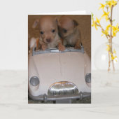 Chihuahua Grußkarte Karte (Gelbe Blume)