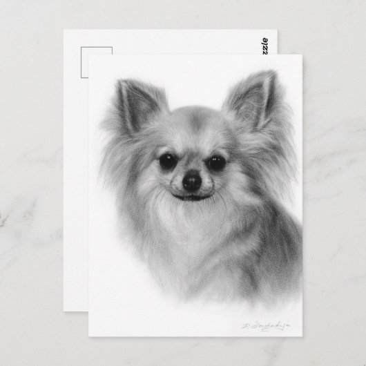 Chihuahua Hand bemalt Pet Portrait Postkarte (Vorne/Hinten)