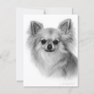 Chihuahua Hand bemalt Pet Portrait Postkarte