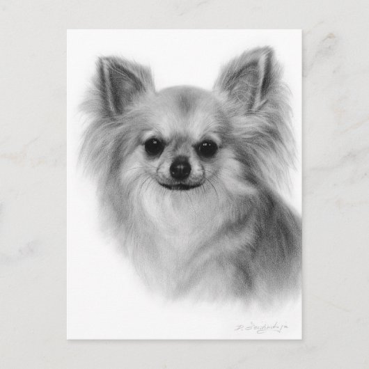 Chihuahua Hand bemalt Pet Portrait Postkarte (Vorderseite)