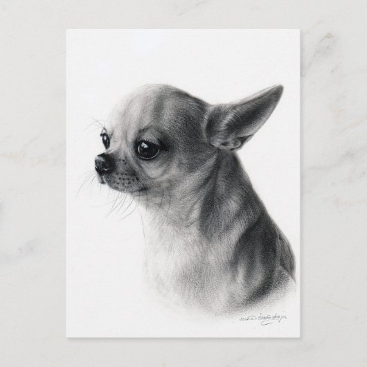 Chihuahua-Handgemälde Postkarte (Vorderseite)