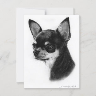 Chihuahua Handgemälde Postkarte