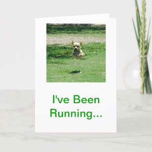 Chihuahua Happy Birthday Card Karte