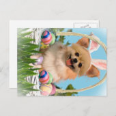 Chihuahua Happy Ostergeschenke Feiertagspostkarte (Vorne/Hinten)