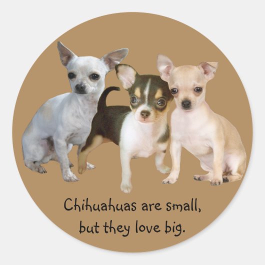 Chihuahua Happy Trio Sticker (Vorderseite)