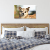 Chihuahua Headshot Leinwanddruck (Insitu (Schlafzimmer))