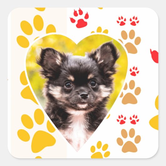 Chihuahua Heart Paw Prints Quadratischer Aufkleber (Vorderseite)
