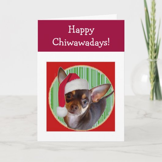 Chihuahua Holiday Card Feiertagskarte (Vorderseite)