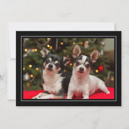 Chihuahua Holiday Greeting Card Feiertagskarte