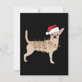 Chihuahua Holiday Weihnachtslicht Dankeskarte (Vorderseite)