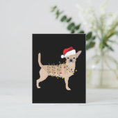 Chihuahua Holiday Weihnachtslicht Dankeskarte (Stehend Vorderseite)