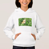 Chihuahua Hoodie, Komfort Mischung Hanes Sweatshir Hoodie (Vorderseite)