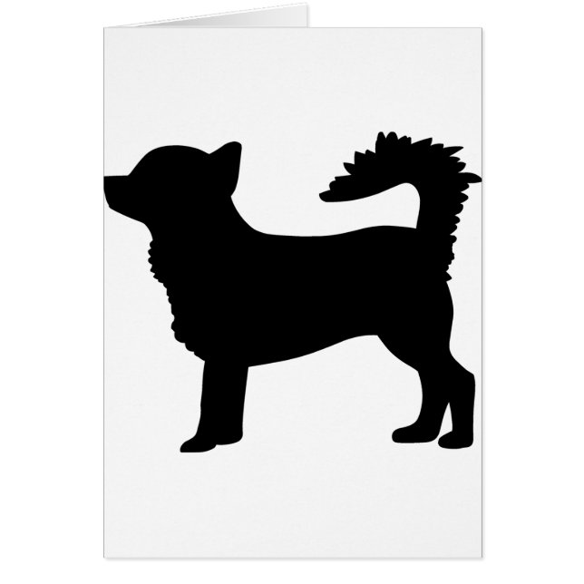 Chihuahua-Hund (Vorne)