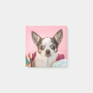 Chihuahua Hund auf rosa Post-it Klebezettel
