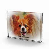 Chihuahua Hund. Fotoblock (Rechts)