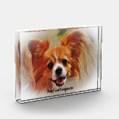 Chihuahua Hund. Fotoblock (Links)