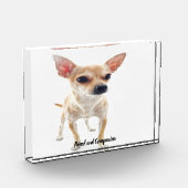 Chihuahua Hund. Fotoblock (Links)