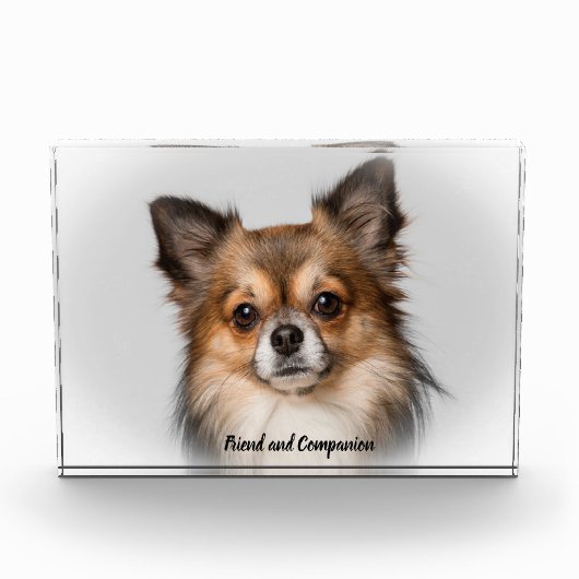 Chihuahua Hund. Fotoblock (Vorderseite)