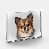 Chihuahua Hund. Fotoblock (Links)