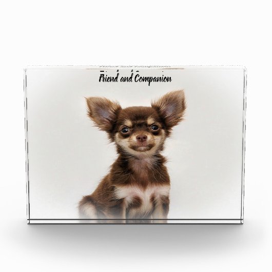 Chihuahua Hund. Fotoblock (Vorderseite)