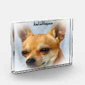 Chihuahua Hund. Fotoblock (Links)