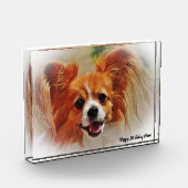 Chihuahua Hund. Fotoblock (Links)