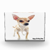 Chihuahua Hund. Fotoblock (Vorderseite)