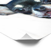 Chihuahua-Hund Fotodruck (Ecke)