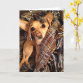 Chihuahua Hund in Blanket Grußkarte Karte (Gelbe Blume)