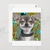 Chihuahua-Hund lächeln Postkarte (Vorne/Hinten)