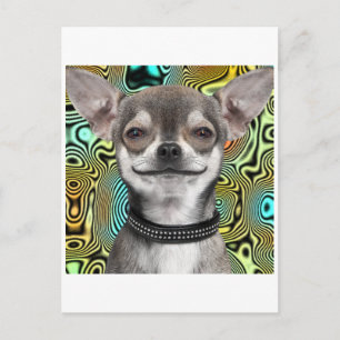 Chihuahua-Hund lächeln Postkarte