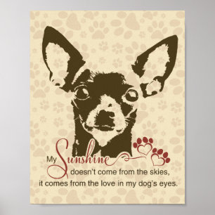 Chihuahua Hund Mein Sonnenschein Poster