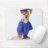 Chihuahua Hund mit Abschluss-Uniform, Studio Mousepad (Mit Mouse)
