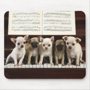 Chihuahua-Hund Mousepad