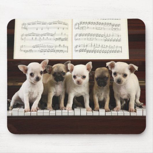 Chihuahua-Hund Mousepad (Vorne)