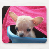 Chihuahua-Hund Mousepad (Vorne)