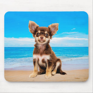 Chihuahua Hund sitzt am tropischen Strand Mousepad