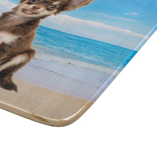 Chihuahua Hund sitzt am tropischen Strand Schneidebrett (Ecke)