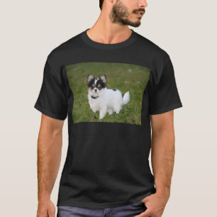 Chihuahua Hund stehend auf einem grünen Rasen T-Shirt