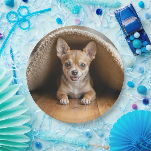 Chihuahua Hund unter einer Rug Pappteller (Party)
