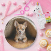 Chihuahua Hund unter einer Rug Pappteller (Party)