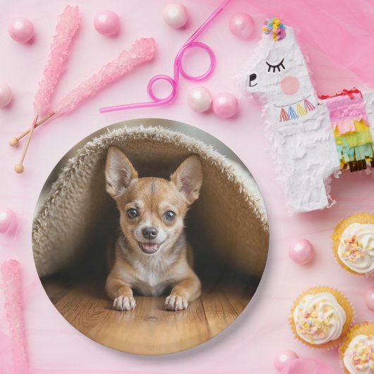 Chihuahua Hund unter einer Rug Pappteller (Party)