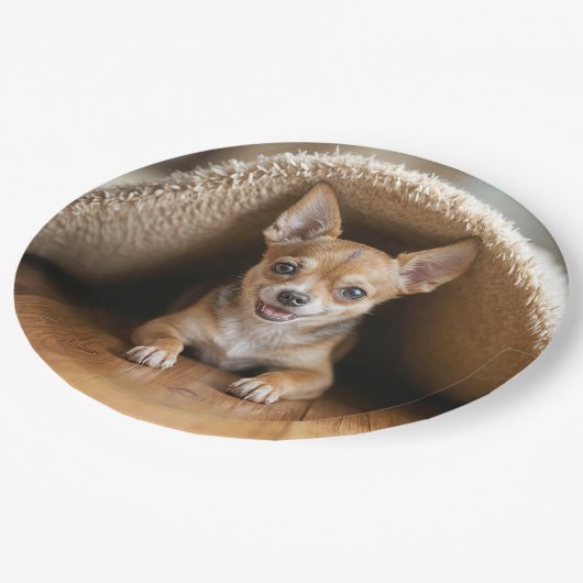 Chihuahua Hund unter einer Rug Pappteller (Schrägansicht)