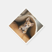 Chihuahua Hund unter einer Rug Serviette (Ecke)