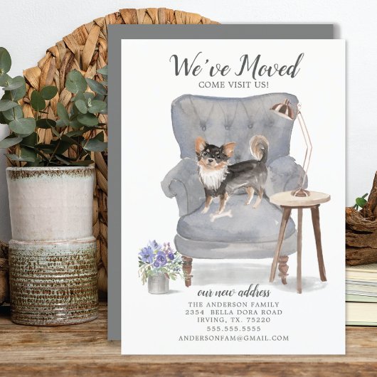 Chihuahua Hund Wir haben uns bewegt bewegende Ankü Ankündigung