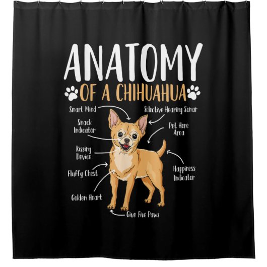 Chihuahua-Hunde-Anatomie Duschvorhang (Vorderseite)