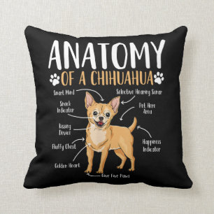 Chihuahua-Hunde-Anatomie Kissen