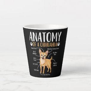 Chihuahua-Hunde-Anatomie Milchtasse