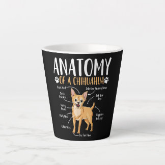 Chihuahua-Hunde-Anatomie Milchtasse