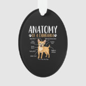 Chihuahua-Hunde-Anatomie Ornament (Vorderseite)